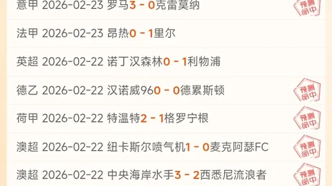 博格坎普解析2026世界杯：历史回顾与展望